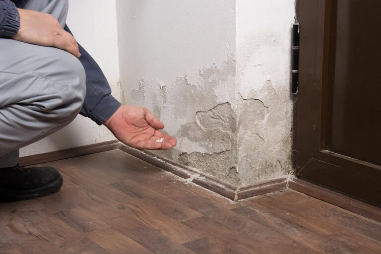 Essential Maintenance Tips to Protect Your Basement from Water Damage