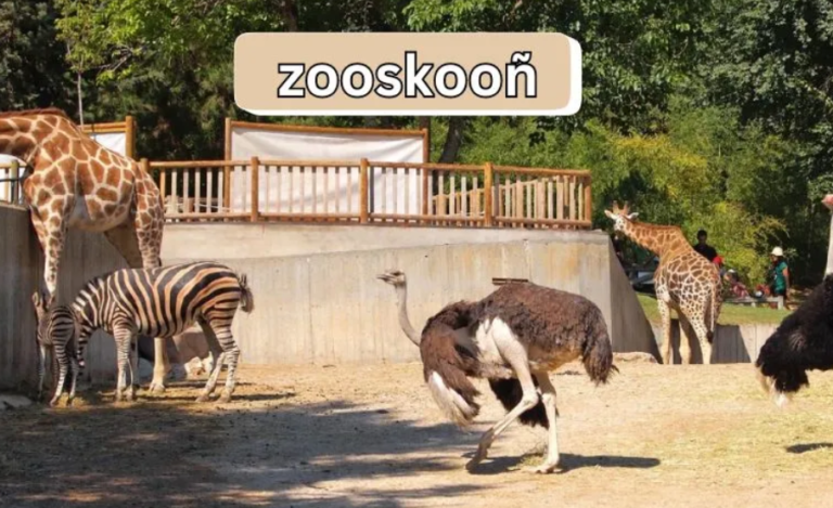 Zooskooñ: Revolutionizing Social Media with Interactive Stories and Sustainable Innovation